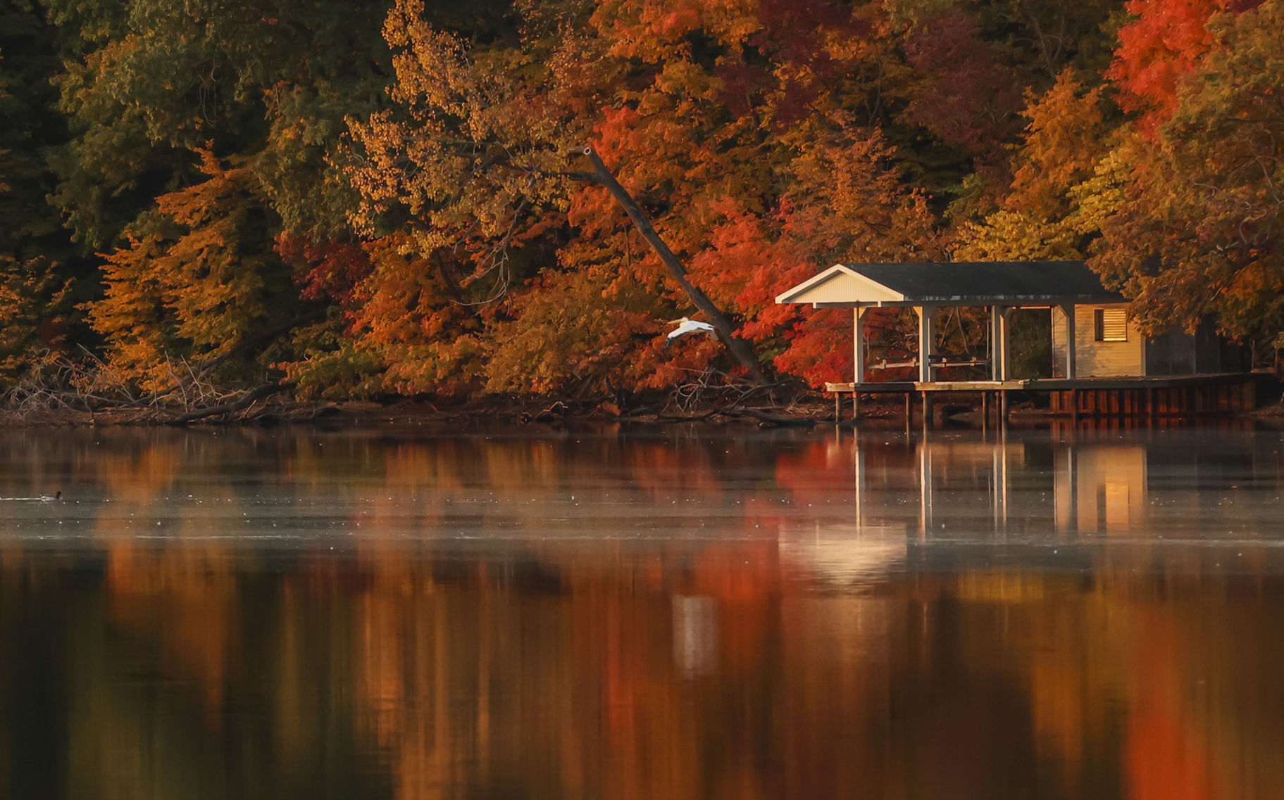 Fall around Lake Decatur 24 10.23.20.JPG